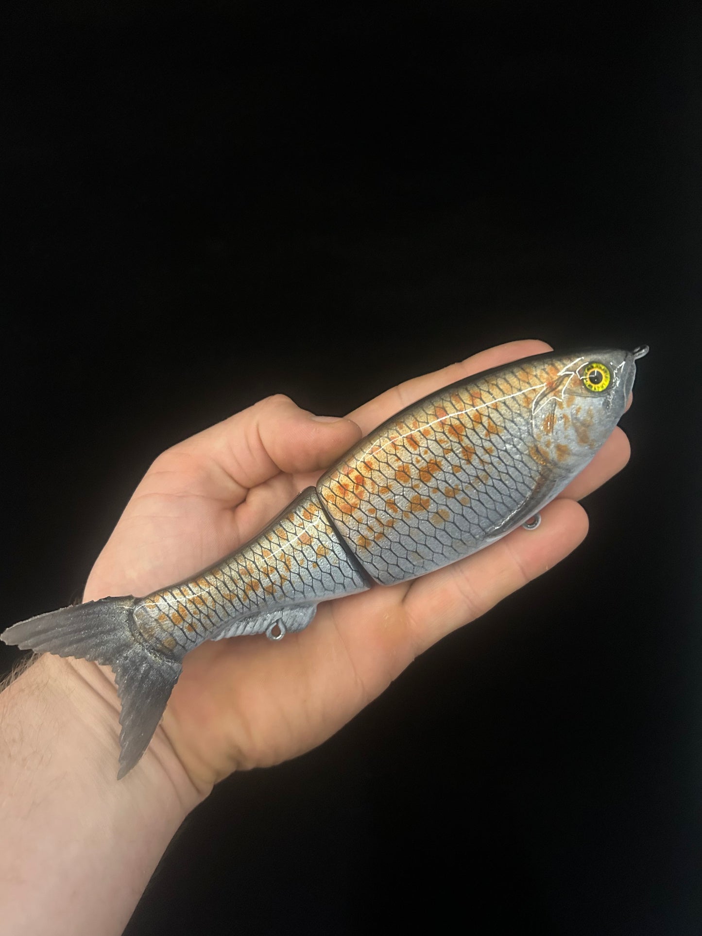 8" Glide Bait Spangled Perch