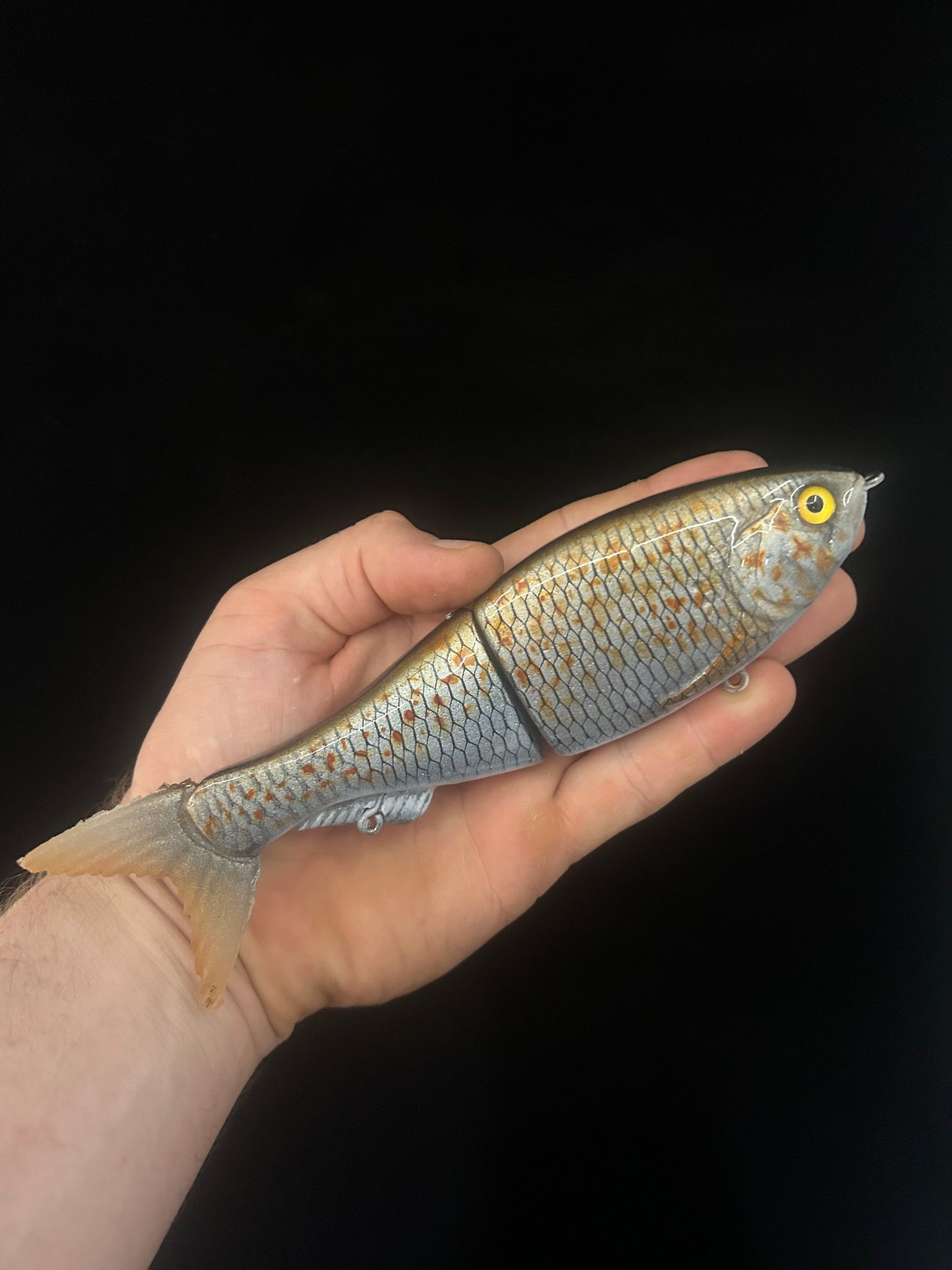 8" Glide Bait Spangled Perch
