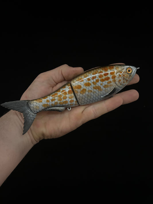 8" Glide Bait Spangled Perch