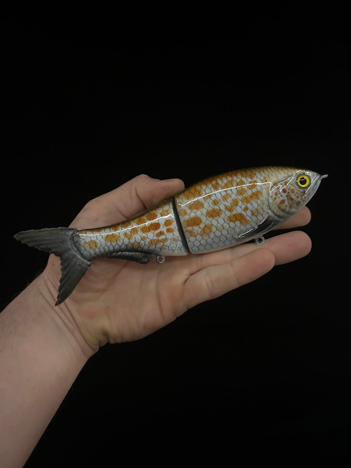 8" Glide Bait Spangled Perch