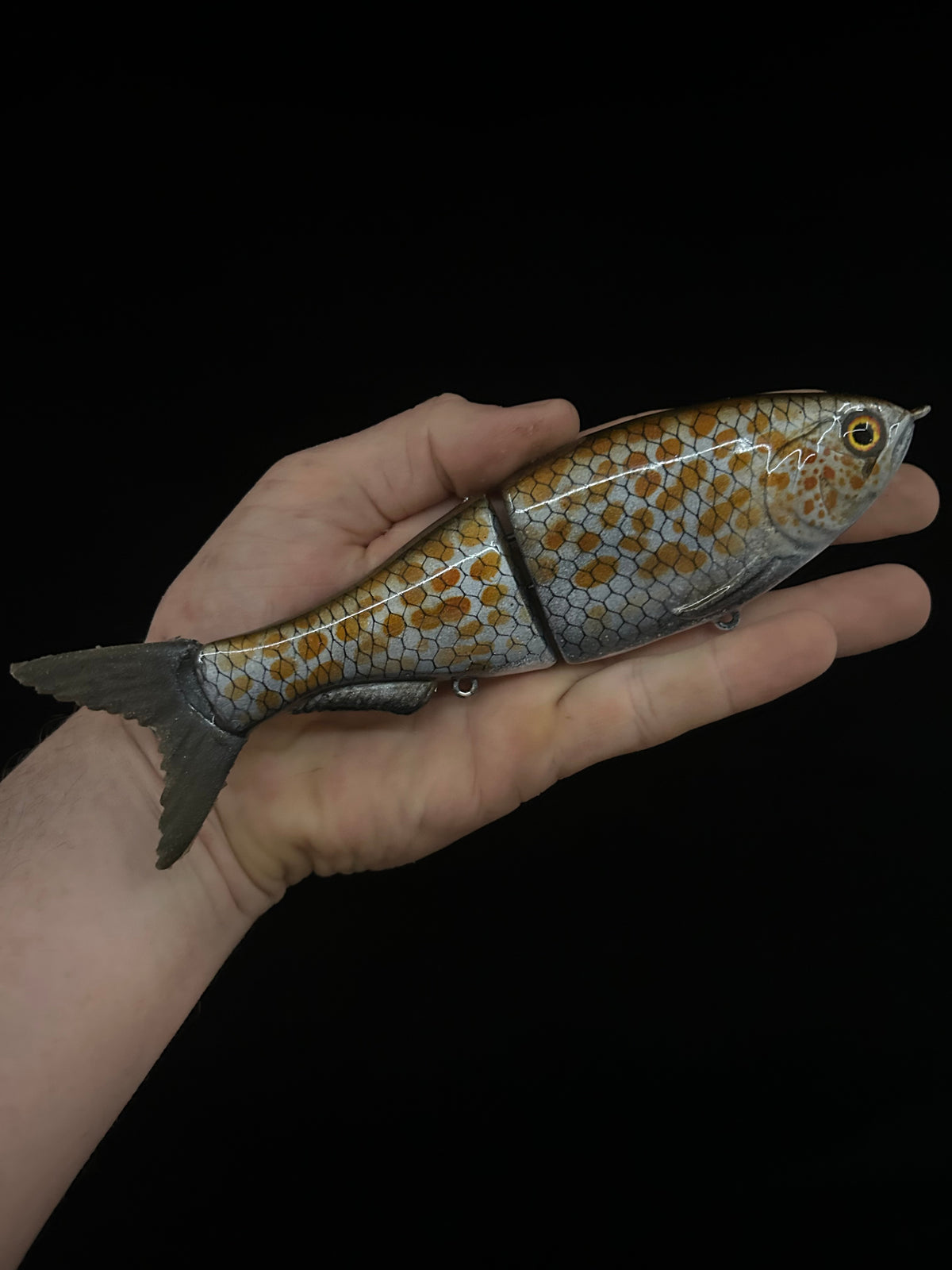 8" Glide Bait Spangled Perch