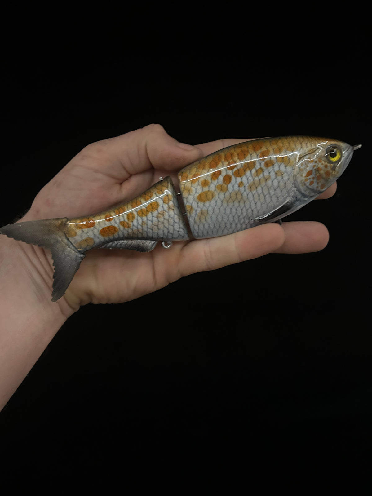 8" Glide Bait Spangled Perch