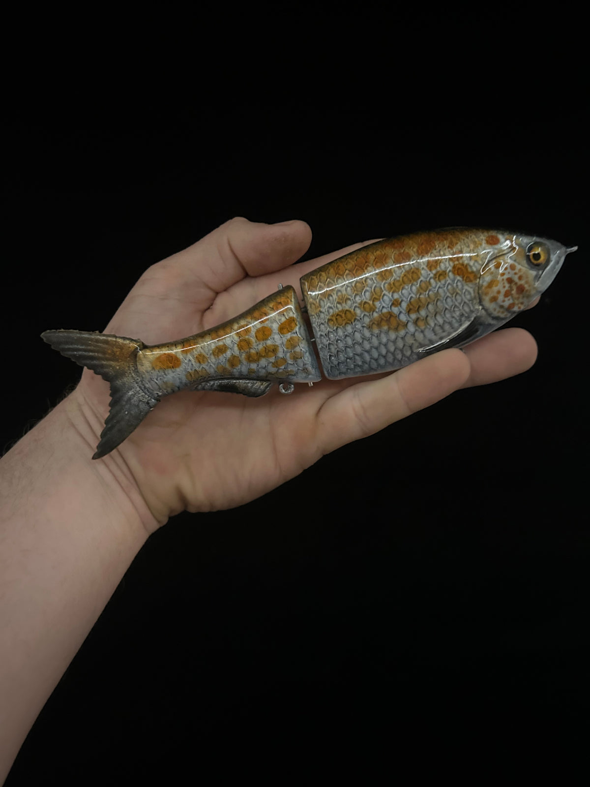 8" Glide Bait Spangled Perch